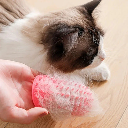 Wall-Mounted Self-Cleaning Cat Scratcher Comb