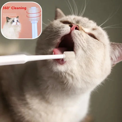 Cat Toothbrush Soft Hair Brush